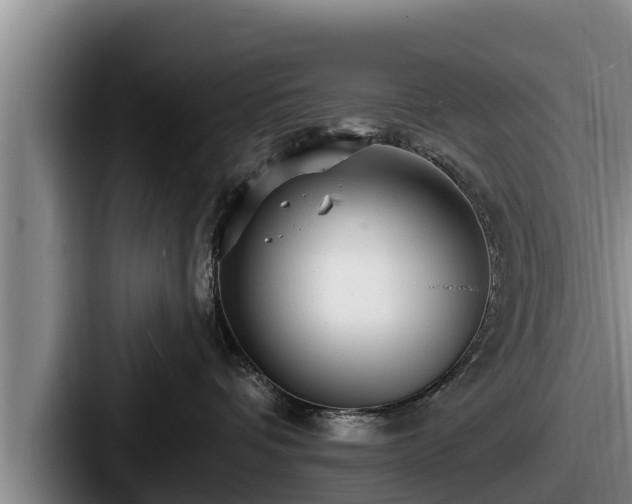 X0000087680336200705111305