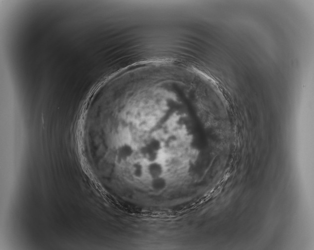 X0000087680337200705111305