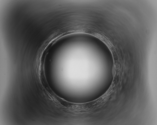 X0000087680338200705111305