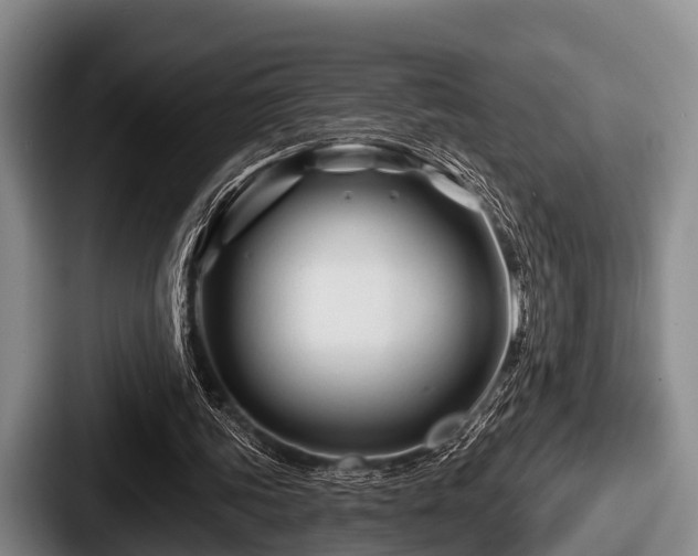 X0000087680339200705111305