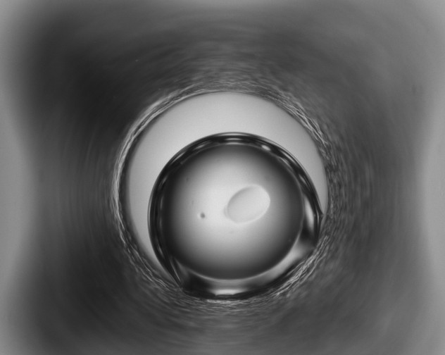 X0000087680340200705111305