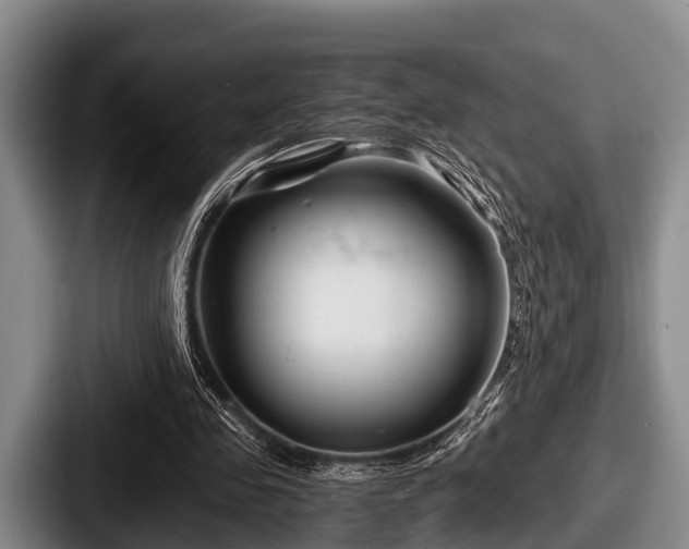 X0000087680341200705111305