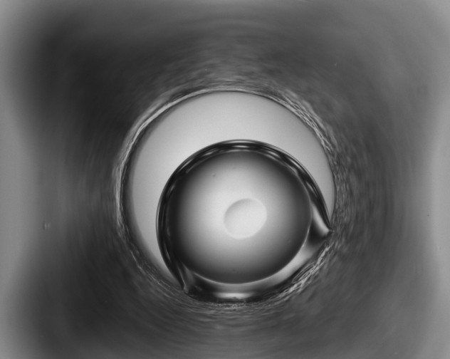 X0000087680344200705111305