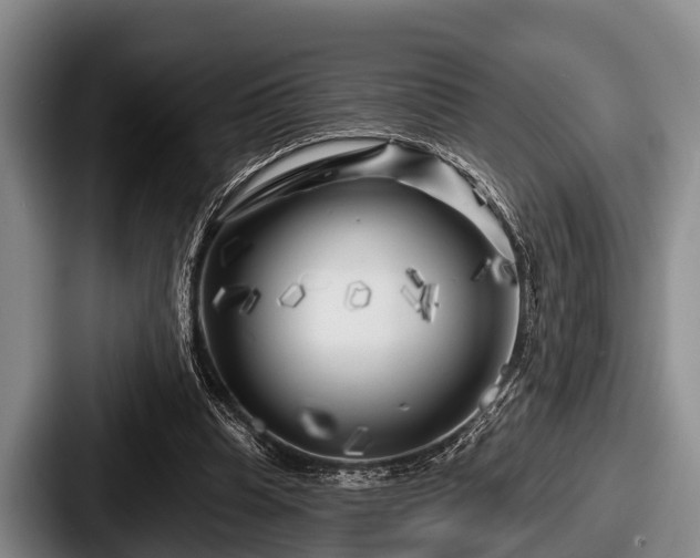 X0000087680345200705111305