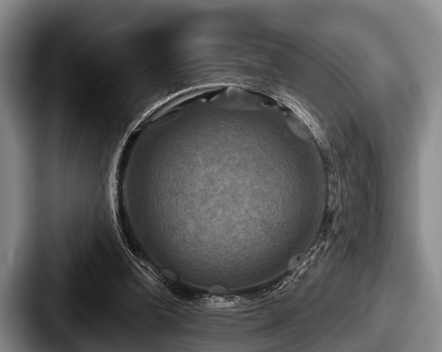 X0000087680346200705111305