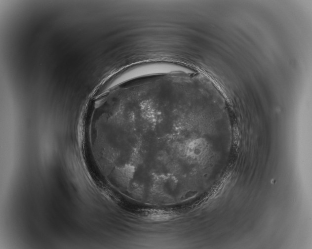 X0000087680347200705111305