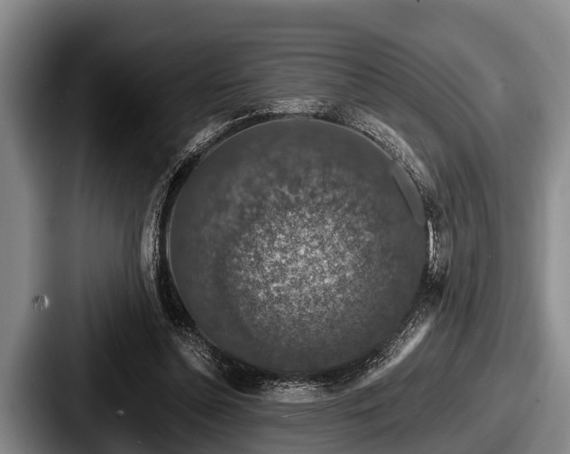 X0000087680348200705111305