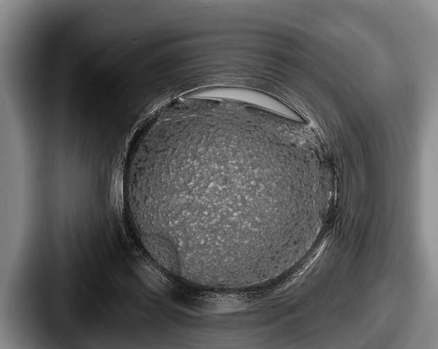 X0000087680349200705111305