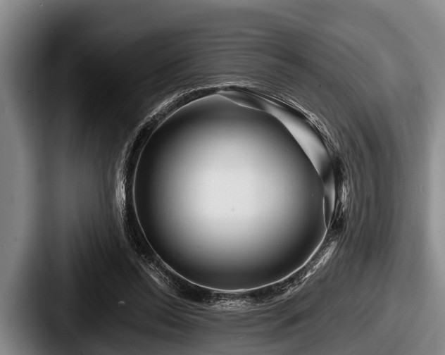 X0000087680350200705111305