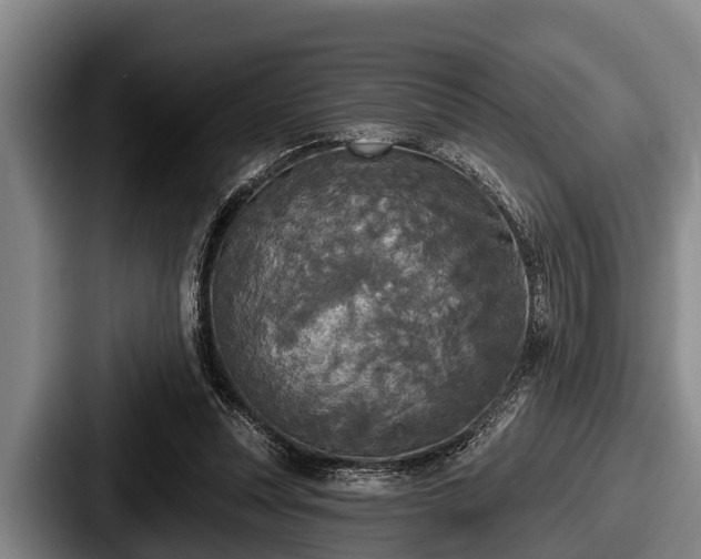 X0000087680351200705111305