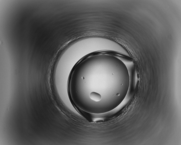 X0000087680352200705111305