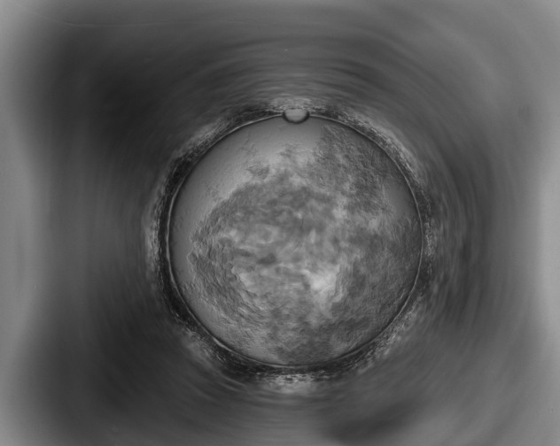 X0000087680353200705111305