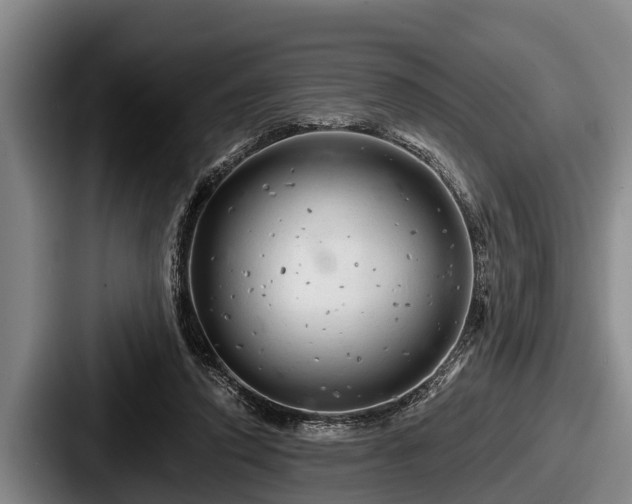 X0000087680354200705111305