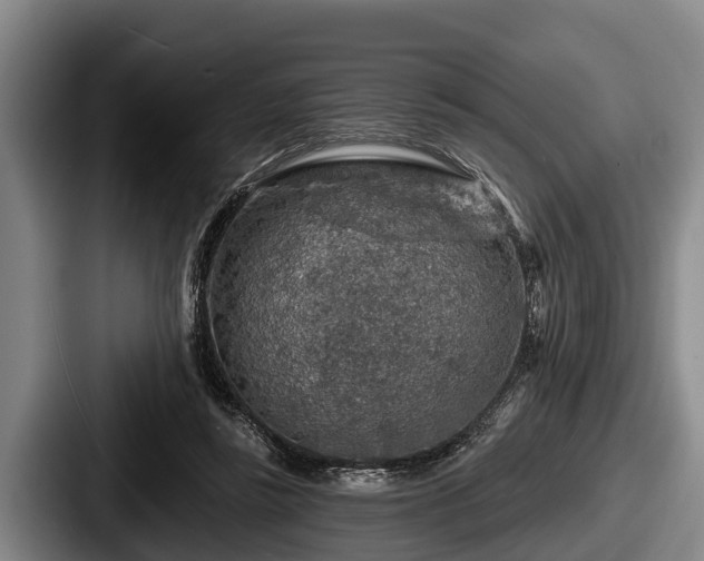 X0000087680355200705111305