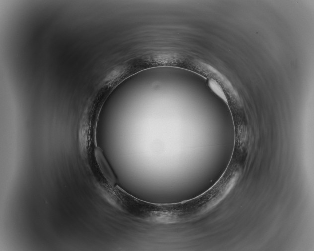 X0000087680356200705111305