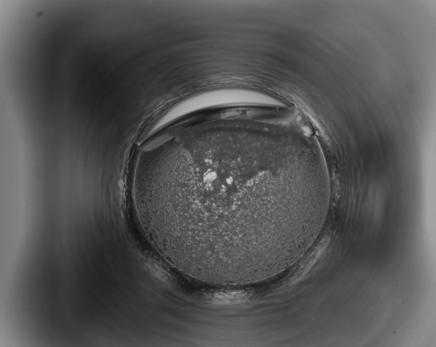 X0000087680357200705111305