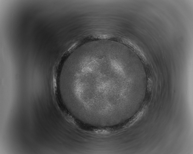 X0000087680358200705111305