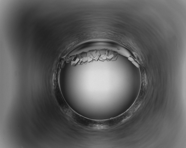 X0000087680360200705111305
