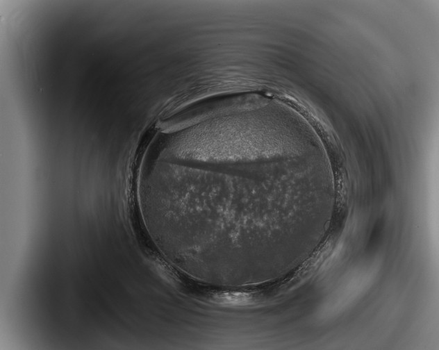 X0000087680361200705111305