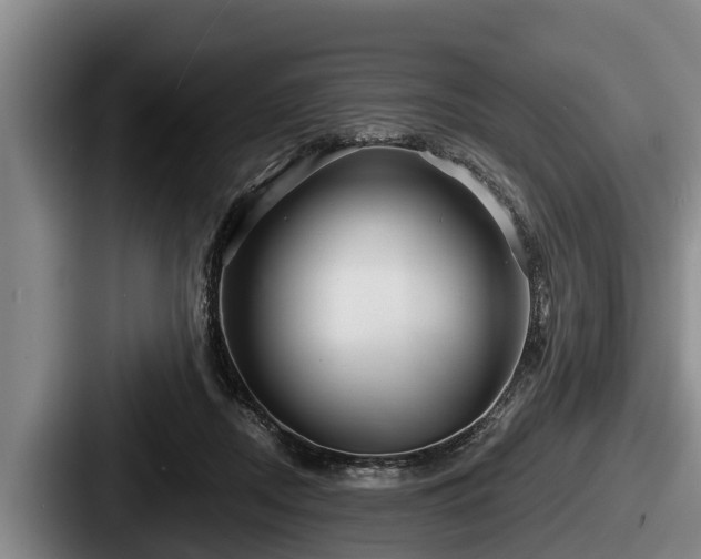 X0000087680362200705111305