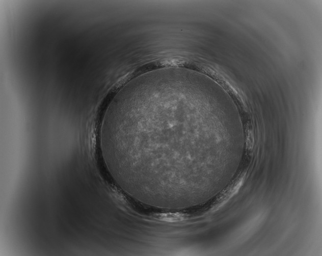 X0000087680363200705111305