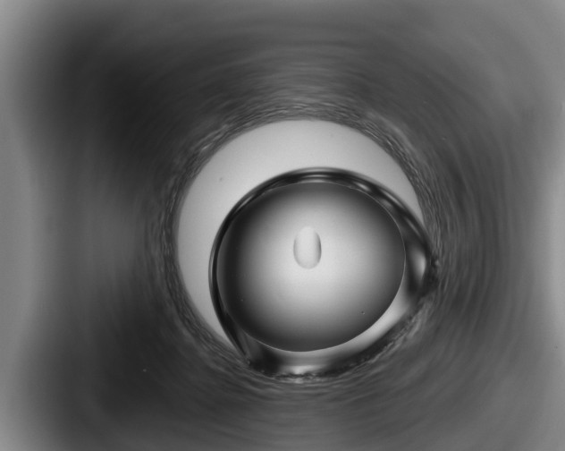 X0000087680364200705111305