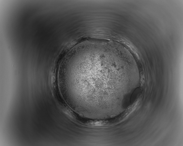 X0000087680365200705111305