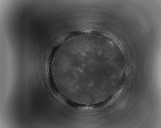 X0000087680366200705111305