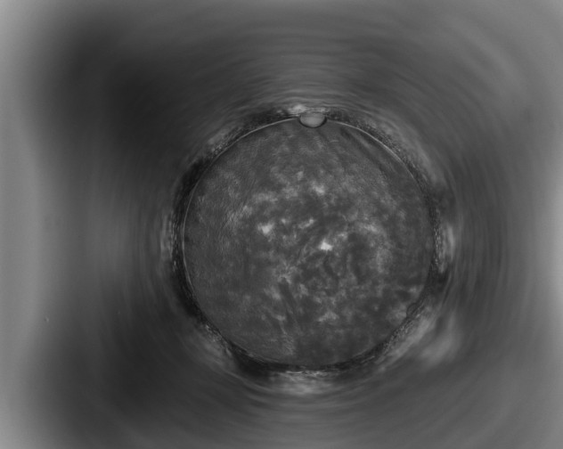 X0000087680367200705111305