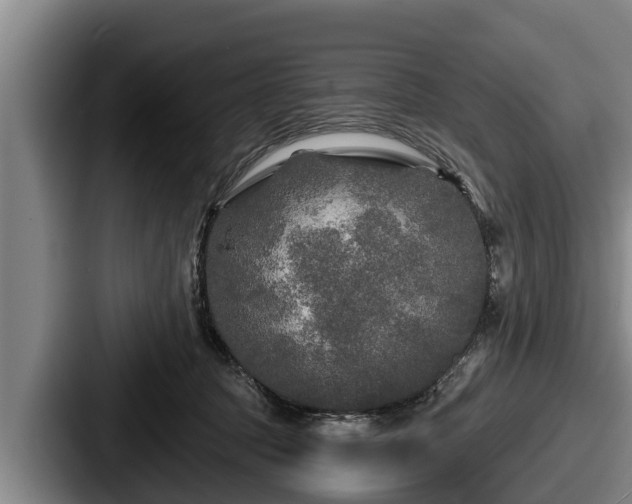 X0000087680369200705111305