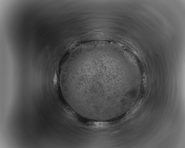 X0000087680371200705111305