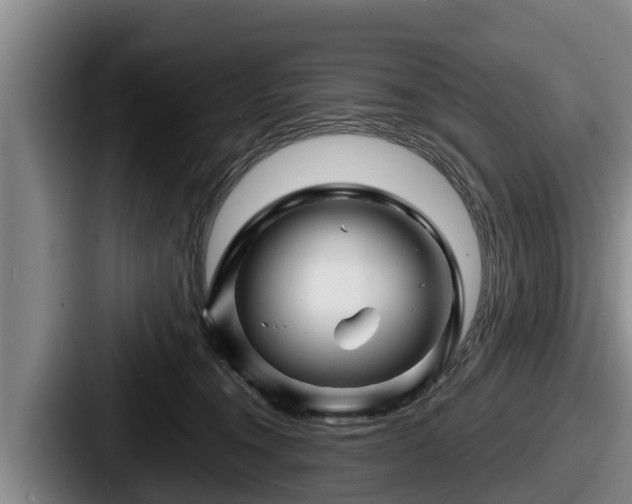 X0000087680372200705111305