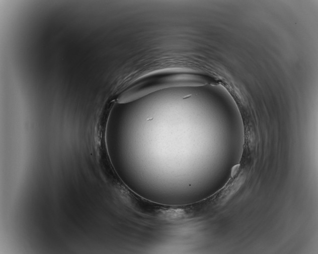 X0000087680374200705111305