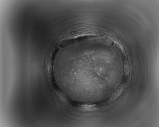 X0000087680375200705111305