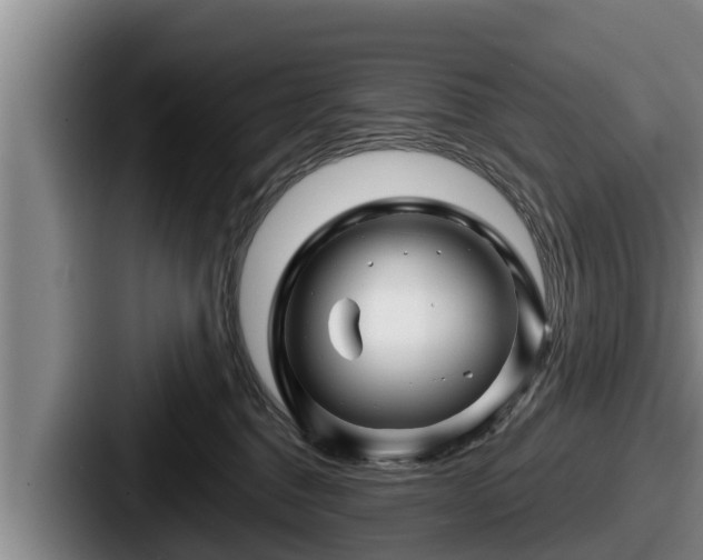 X0000087680376200705111305