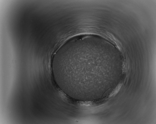 X0000087680377200705111305