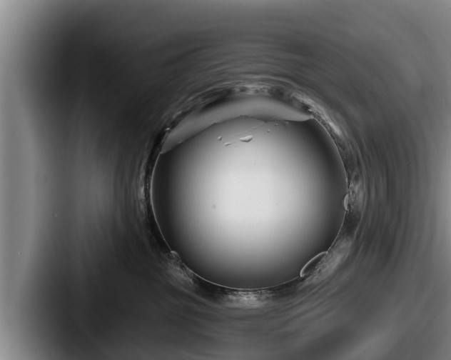 X0000087680381200705111305