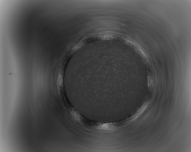 X0000087680382200705111305