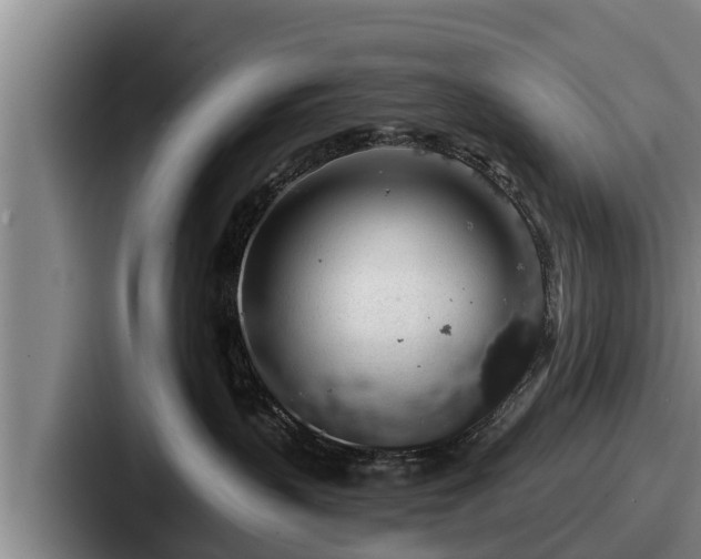 X0000087680383200705111305