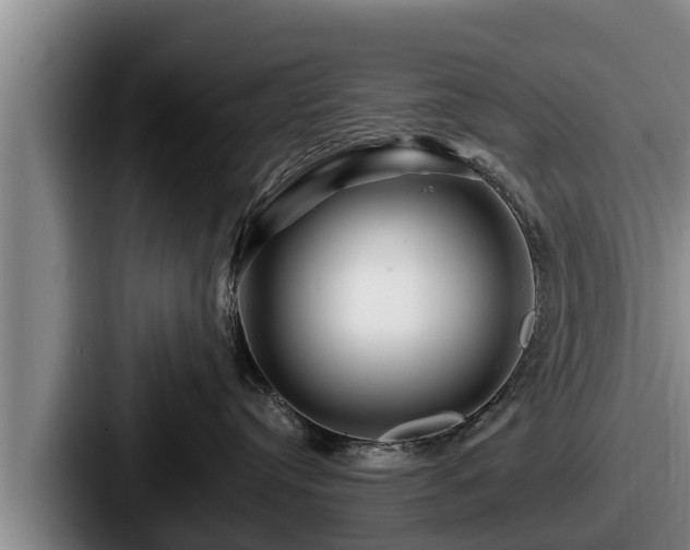 X0000087680384200705111305