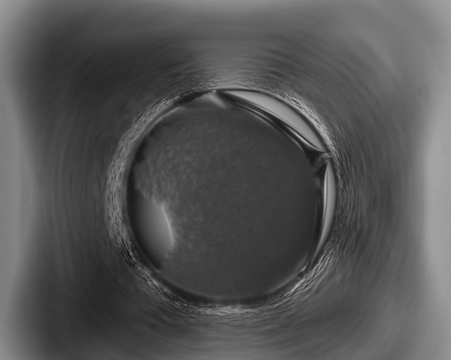 X0000087680385200705111305