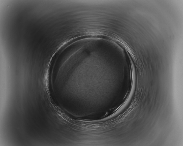 X0000087680387200705111305