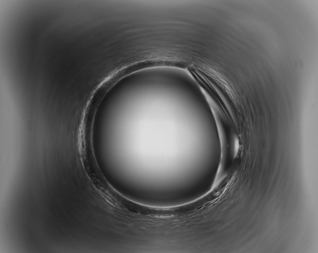 X0000087680388200705111305