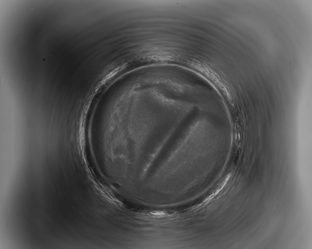 X0000087680390200705111305