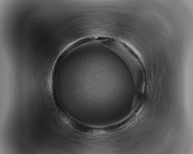 X0000087680391200705111305