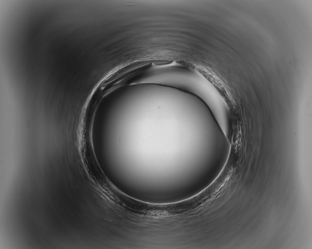 X0000087680392200705111305