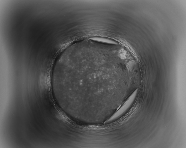 X0000087680393200705111305