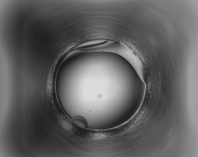 X0000087680394200705111304