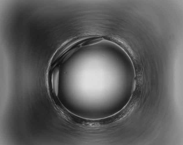 X0000087680395200705111304