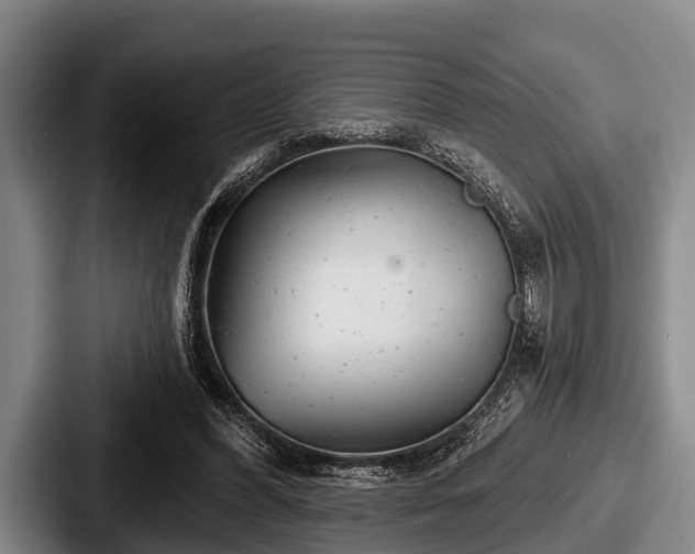 X0000087680396200705111304